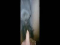 Squirt mare